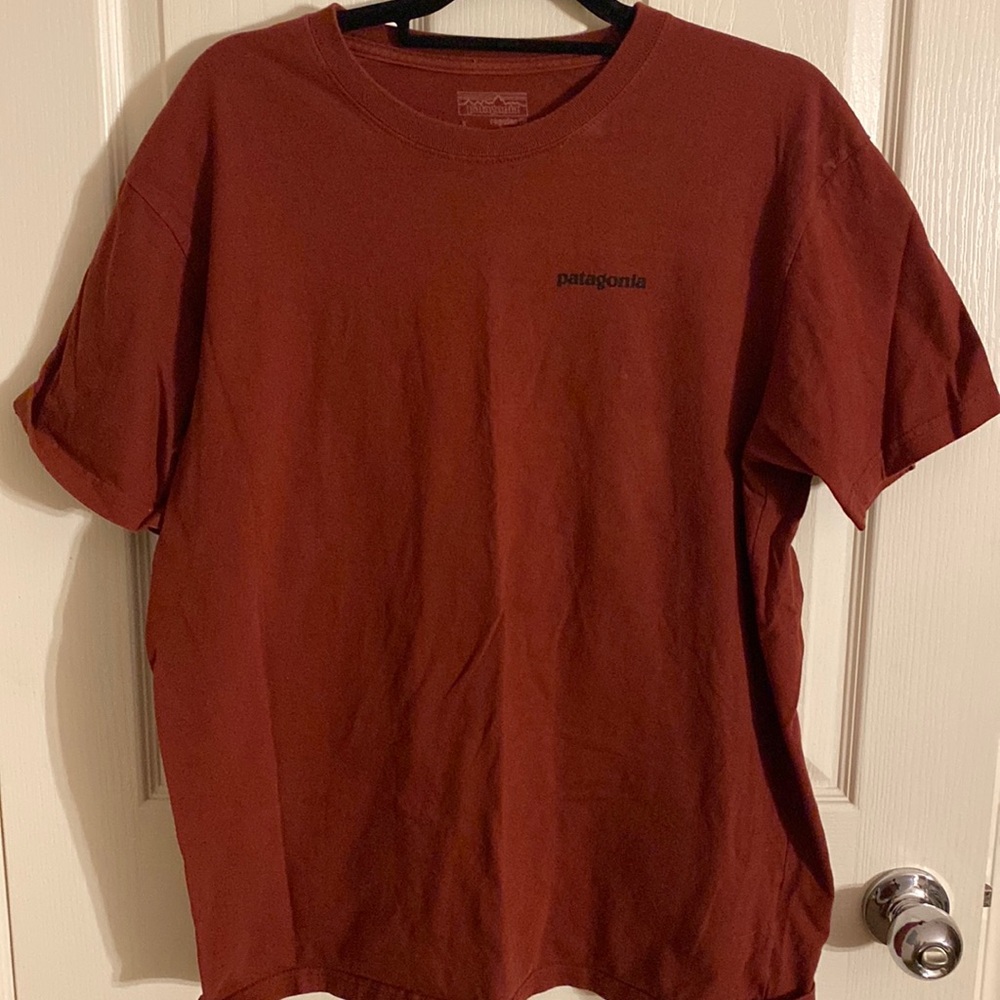 Mens patagonia t shirt. Great condition
